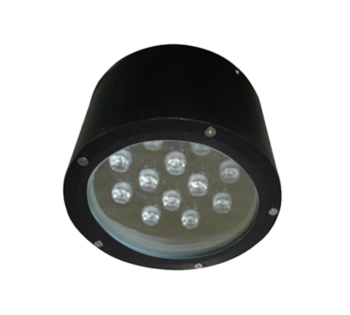LED Down Light
